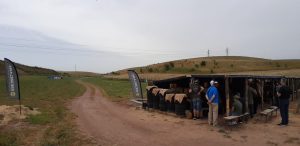 BERGARA DAY ITALY 1