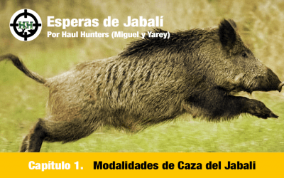 Haul Hunters Episodio 1
