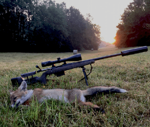 Renards France HMR Renards France HMR