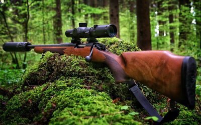 b14 timber bergara